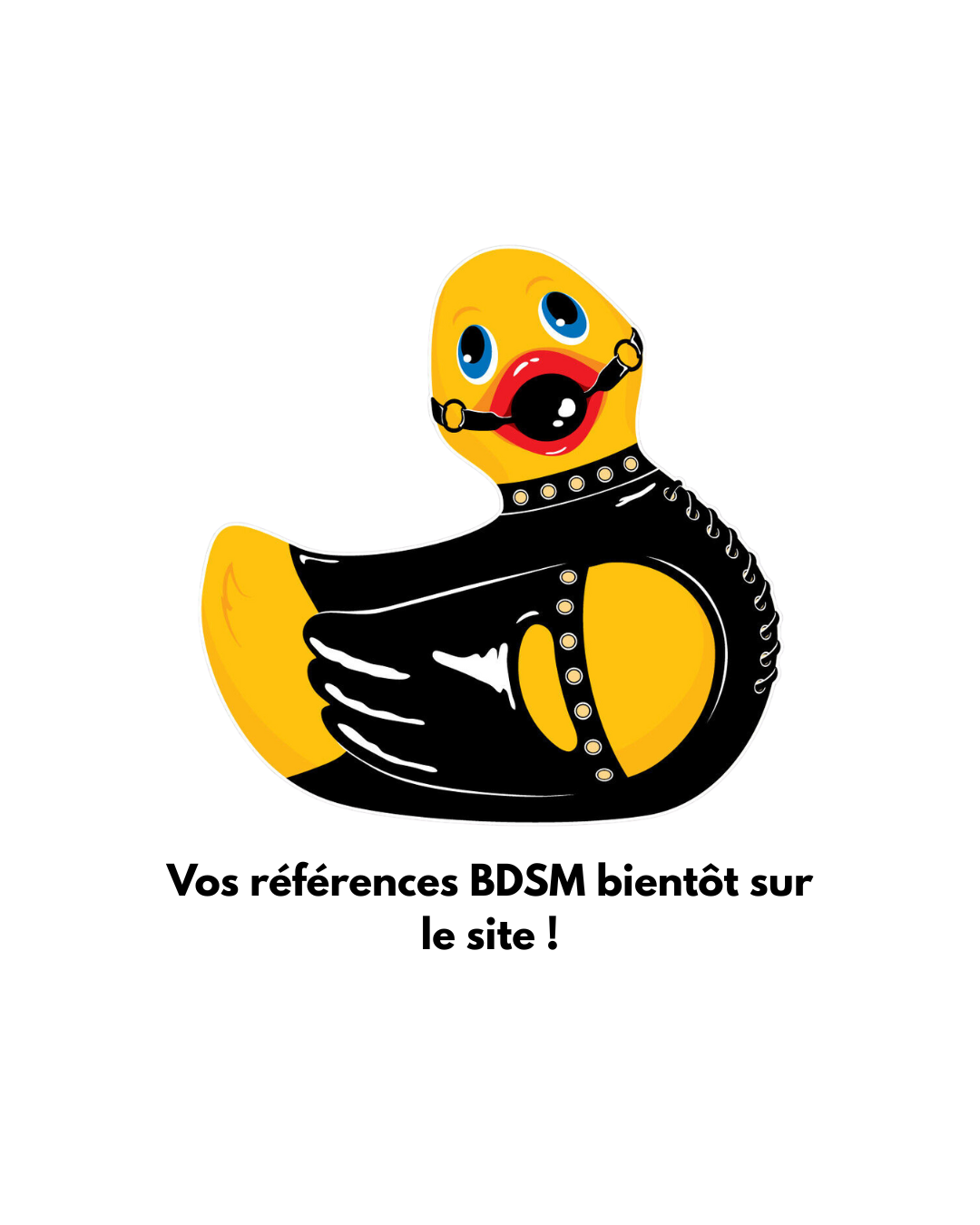 Canard Bientôt dispo
