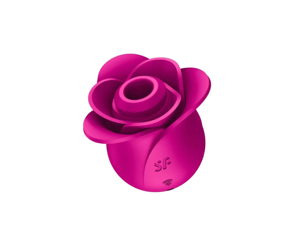 Stimulateur Satisfyer - Pro 2 Modern Blossom